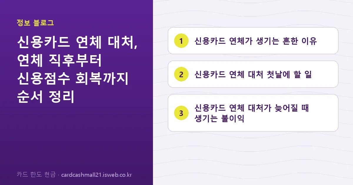 신용카드 연체 대처 핵심 내용 요약