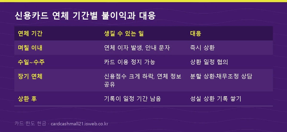 신용카드 연체 대처 신용카드 연체 기간별 불이익과 대응